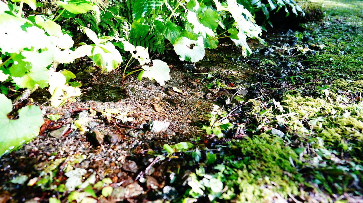 f:id:camera-yurucamp:20210829183706j:plain